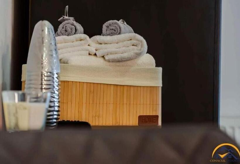 فندق Conacul Doamnei