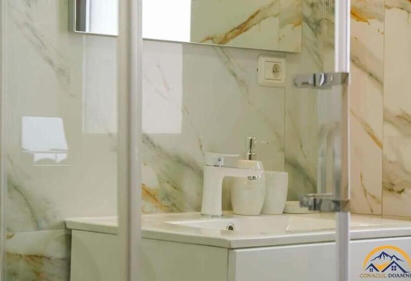 فندق Conacul Doamnei