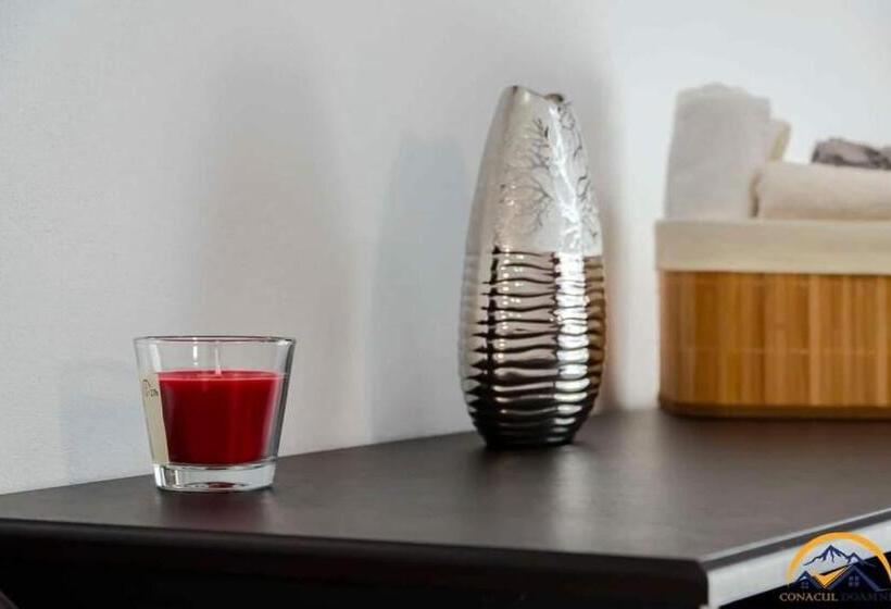 فندق Conacul Doamnei