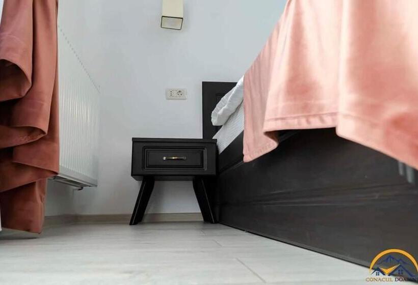 فندق Conacul Doamnei