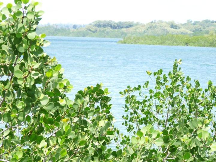 Szálloda Pemba Misali Sunset Beach