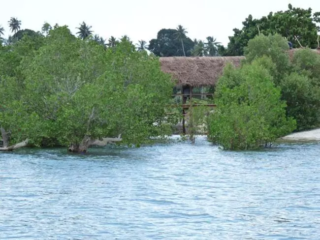 ホテル Pemba Misali Sunset Beach