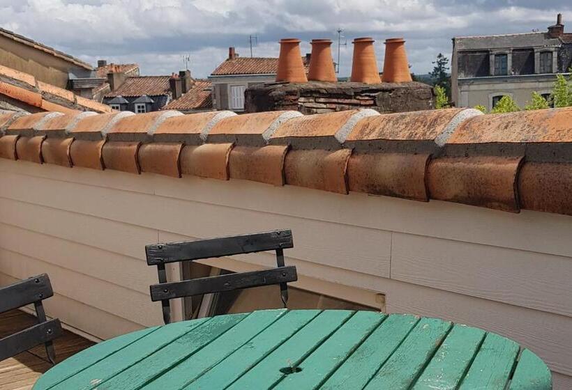 بنسيون Gazelle Guest House And Art Gallery