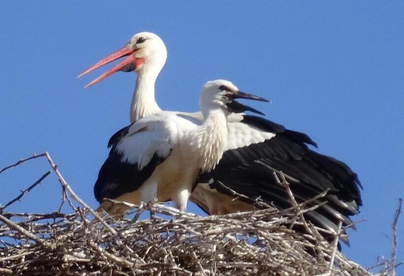 ペンション L Hadestal