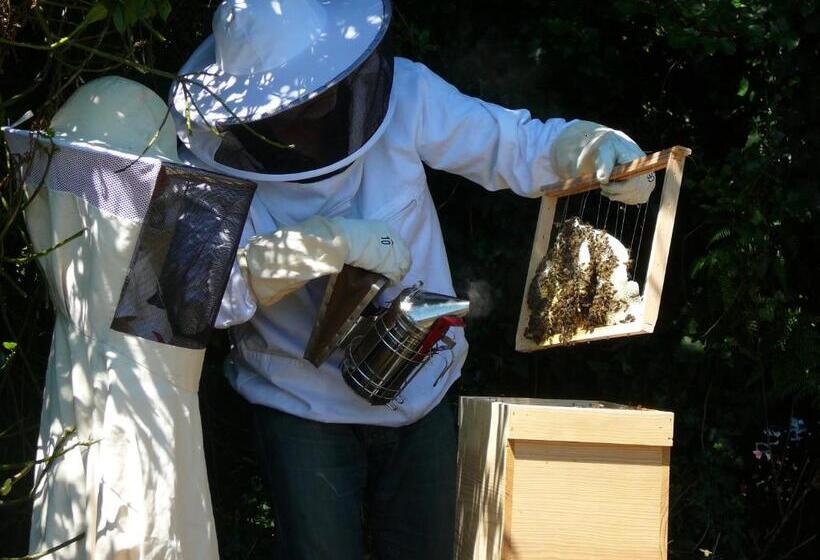 پانسیون La Ferme De Kerhors