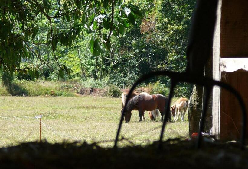 پانسیون La Ferme De Kerhors