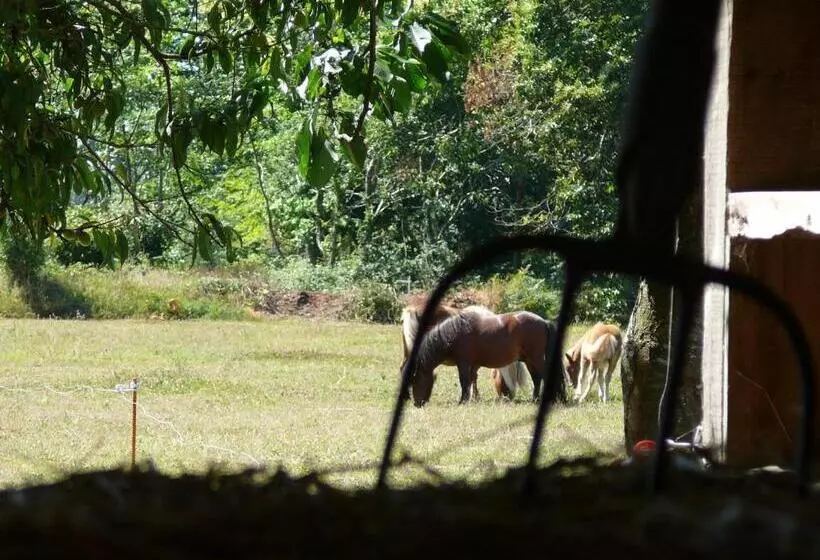 Majatalo La Ferme De Kerhors