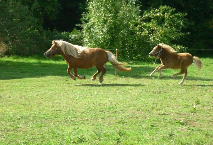 پانسیون La Ferme De Kerhors