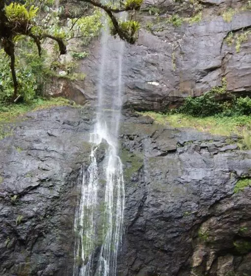 ユースホステル Pousada Pico Da Galera/maquiné