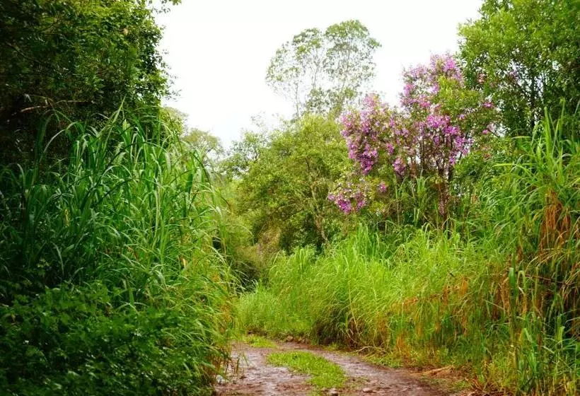 ユースホステル Pousada Pico Da Galera/maquiné