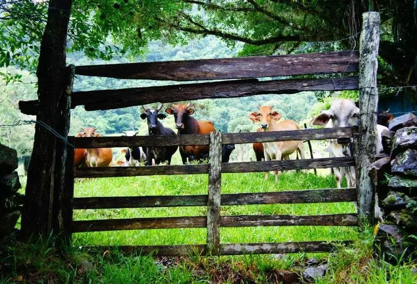 ユースホステル Pousada Pico Da Galera/maquiné