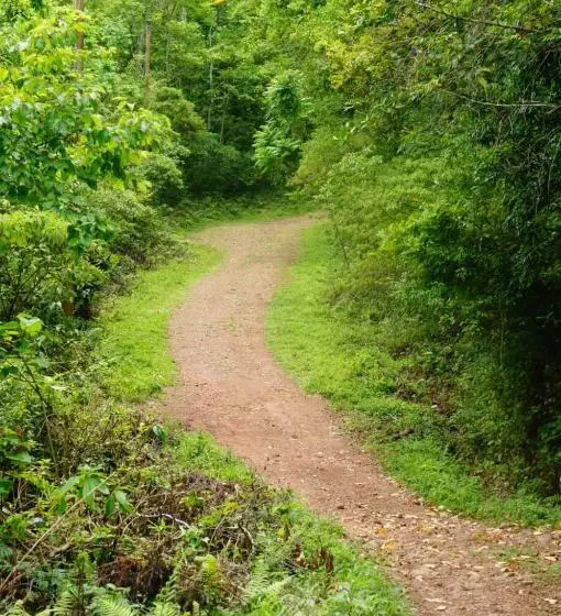 ユースホステル Pousada Pico Da Galera/maquiné