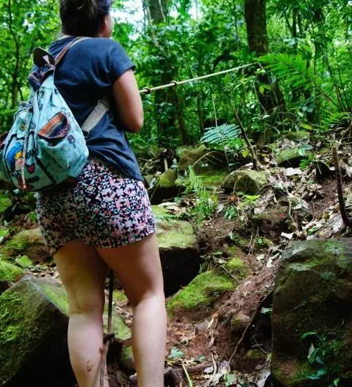 ユースホステル Pousada Pico Da Galera/maquiné