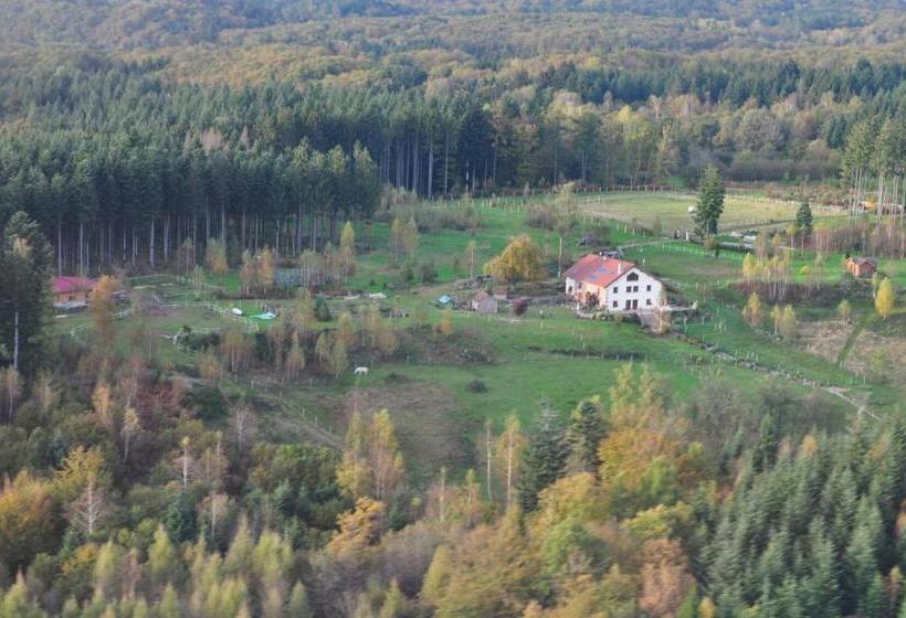 민박 Chambre Merisier Dans Une Ferme Avec étang Privé Au Coeur De La Région Des Mille étangs, Faucogney E