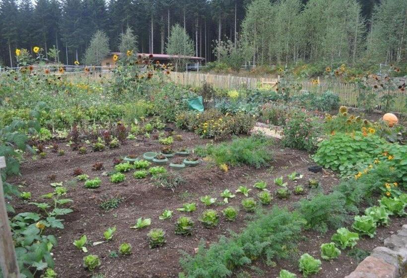 민박 Chambre Merisier Dans Une Ferme Avec étang Privé Au Coeur De La Région Des Mille étangs, Faucogney E