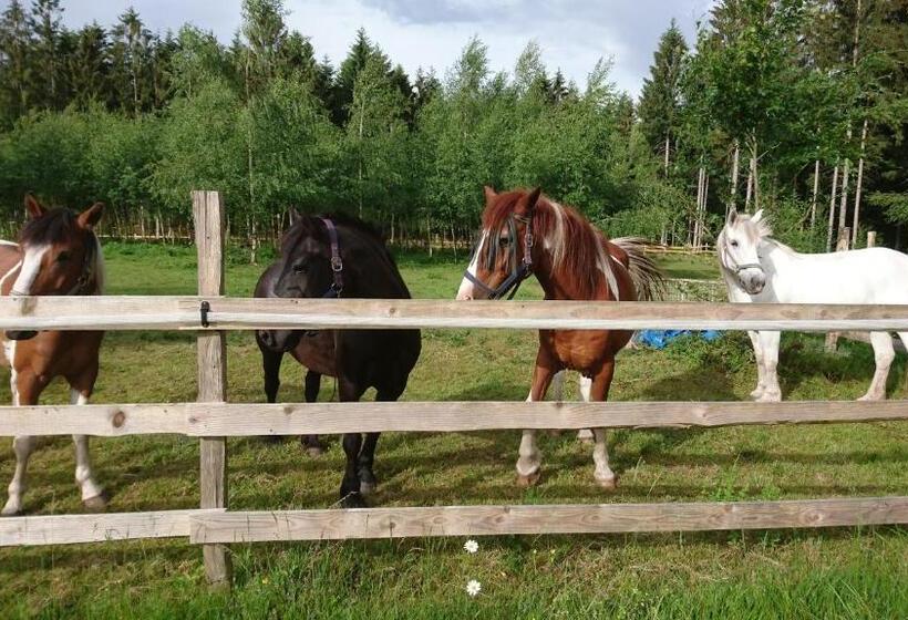 민박 Chambre Merisier Dans Une Ferme Avec étang Privé Au Coeur De La Région Des Mille étangs, Faucogney E