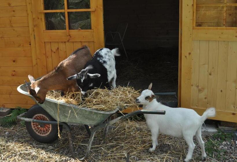 민박 Chambre Merisier Dans Une Ferme Avec étang Privé Au Coeur De La Région Des Mille étangs, Faucogney E