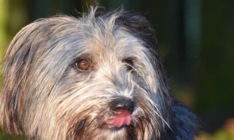 민박 Chambre Merisier Dans Une Ferme Avec étang Privé Au Coeur De La Région Des Mille étangs, Faucogney E