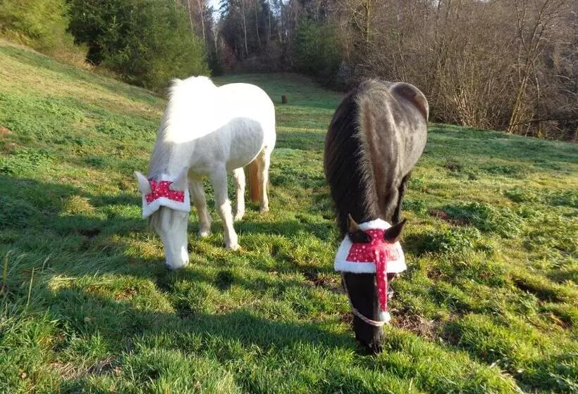 Aamiaismajoitus (B&B) Chambre Merisier Dans Une Ferme Avec étang Privé Au Coeur De La Région Des Mille étangs, Faucogney E