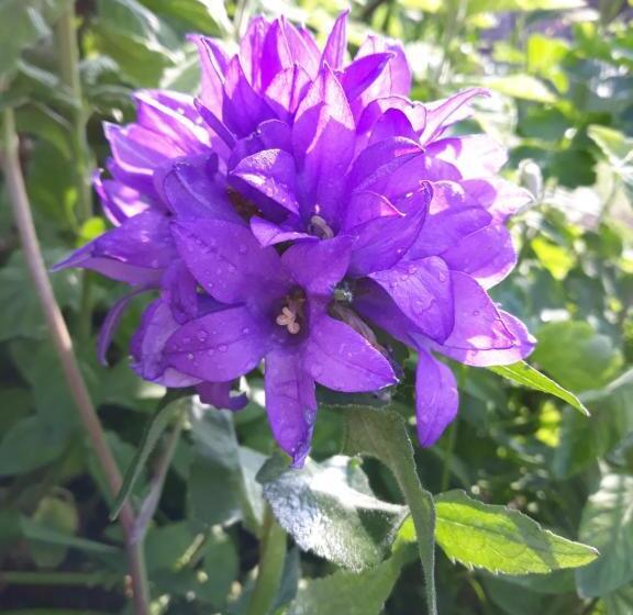 住宿加早餐 Chambres D Hôtes La Luce