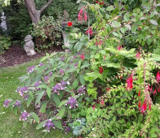 ベッドアンドブレックファースト Chambres D Hôtes La Luce