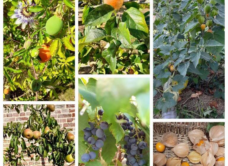 住宿加早餐 Chambres D Hôtes La Luce