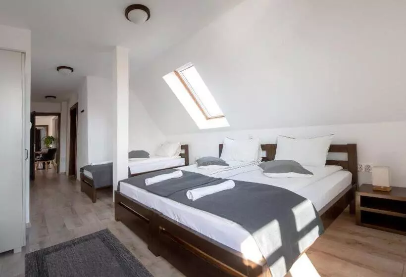 Aamiaismajoitus (B&B) Csató Panzió   Pensiunea Csató