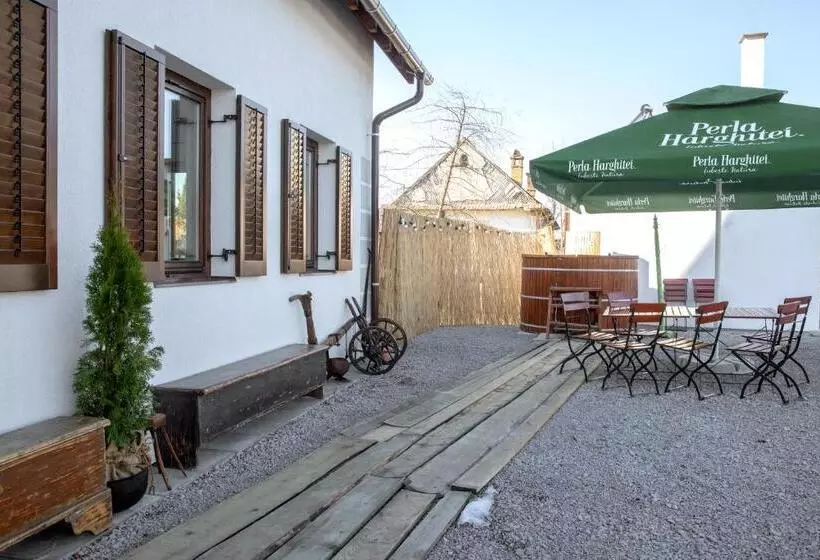 Aamiaismajoitus (B&B) Csató Panzió   Pensiunea Csató