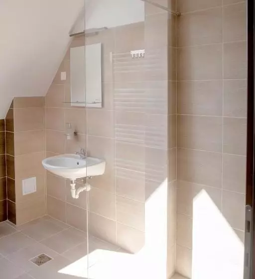 Aamiaismajoitus (B&B) Csató Panzió   Pensiunea Csató