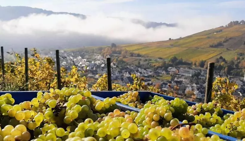 Aamiaismajoitus (B&B) Gästehaus Mona Lisa