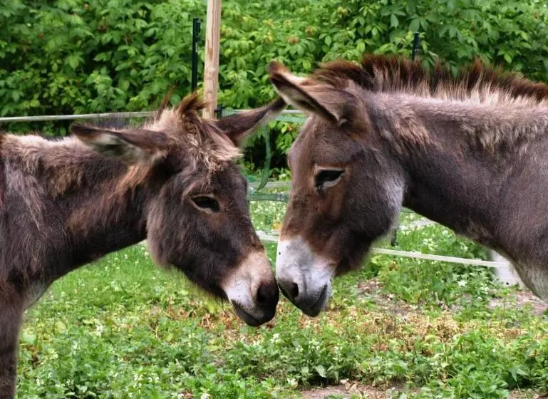 Aamiaismajoitus (B&B) Les Rives De L Andelle