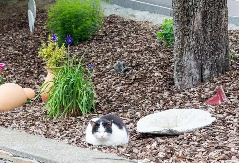 Aamiaismajoitus (B&B) Pension Puster