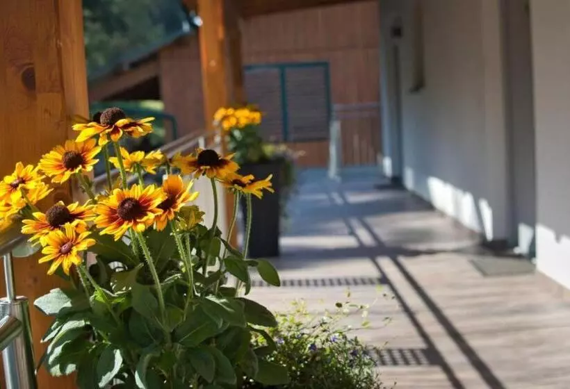 Aamiaismajoitus (B&B) Pension Puster