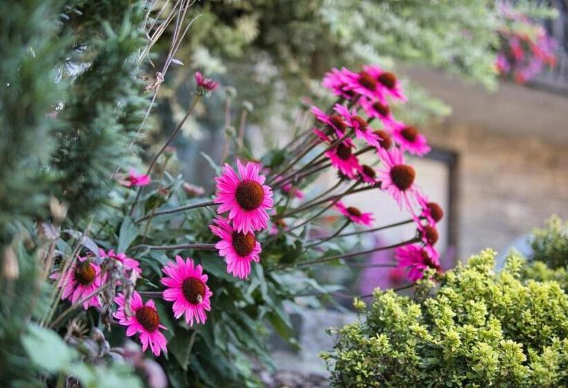 Bed and Breakfast Pension Puster