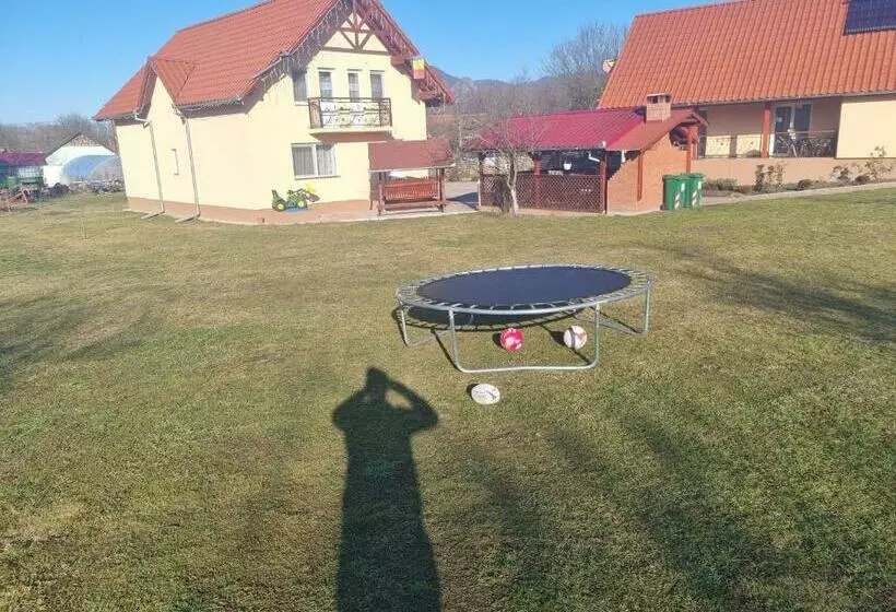 ベッドアンドブレックファースト Pensiunea Dan Ge La