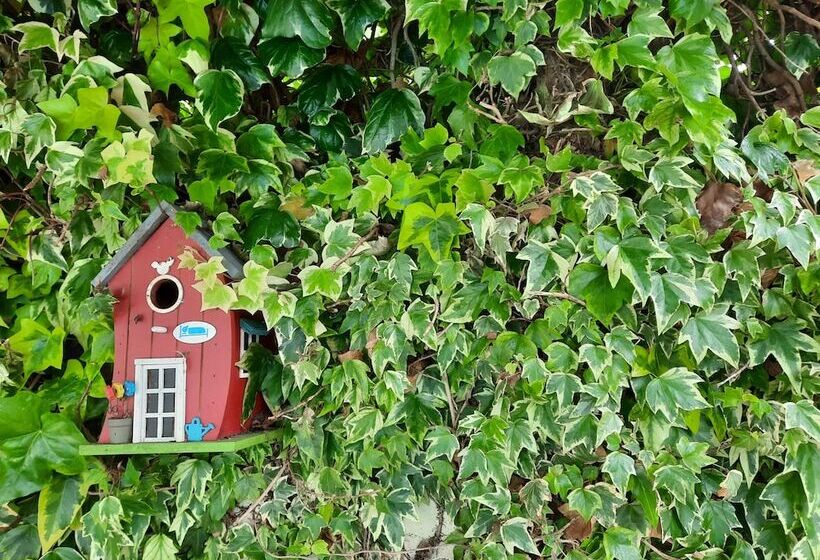 Bed and Breakfast Smiling Places   Guest House In Labruge