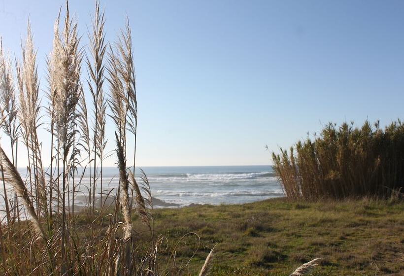 Bed and Breakfast Smiling Places   Guest House In Labruge