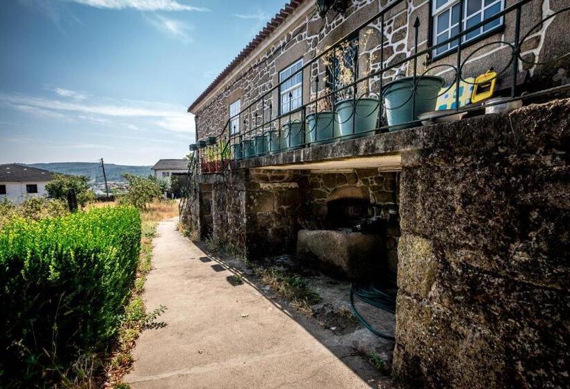 住宿加早餐  Solar Dos Carvalhos