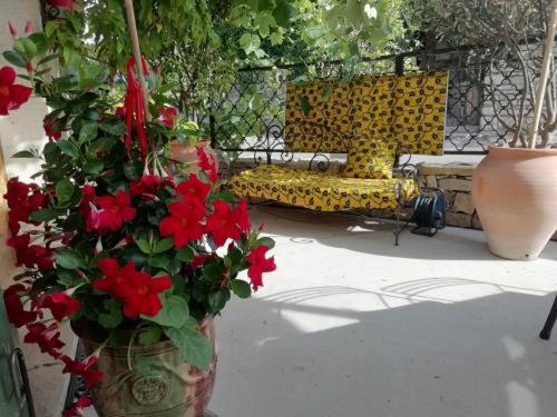 住宿加早餐 Un Nid Entre Vignes Et Pierres Pic St Loup