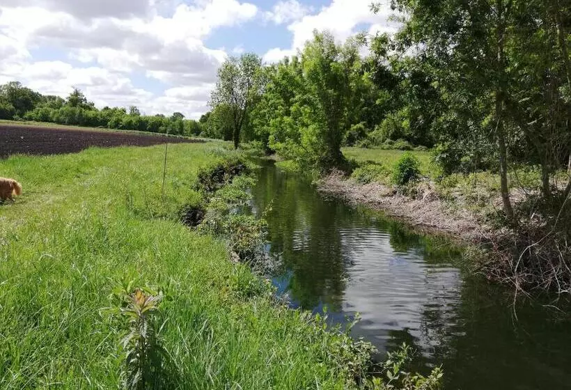 ベッドアンドブレックファースト Varzay Autour Du Puits