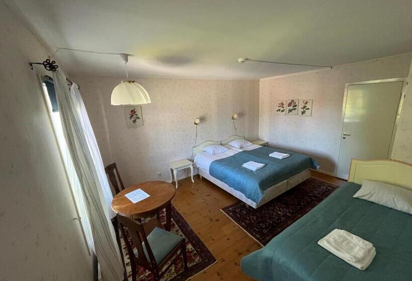 בית מלון כפרי Svaneholm