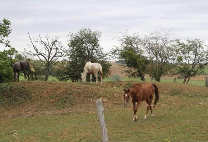 ペンション Ferme Des Champs