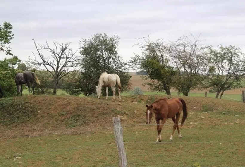 ペンション Ferme Des Champs