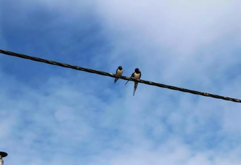 ペンション Ferme Des Champs