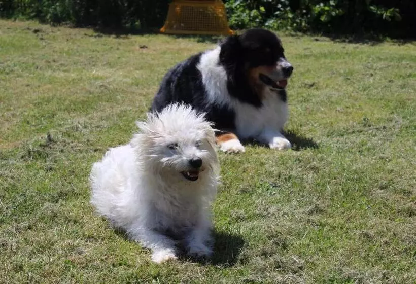 ペンション Ferme Des Champs