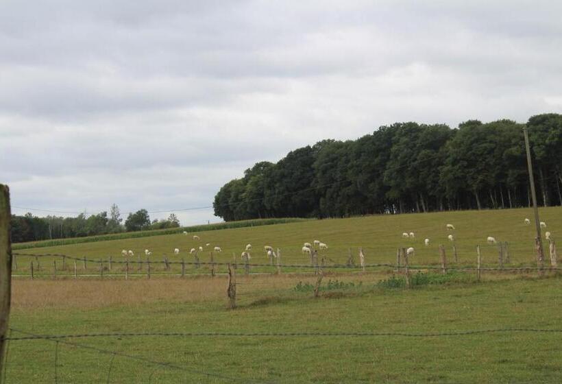 ペンション Ferme Des Champs