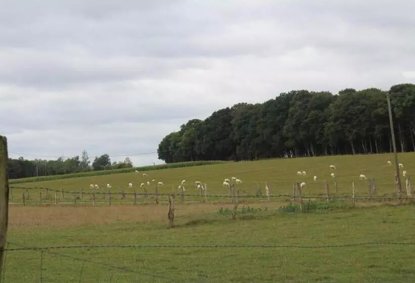 ペンション Ferme Des Champs