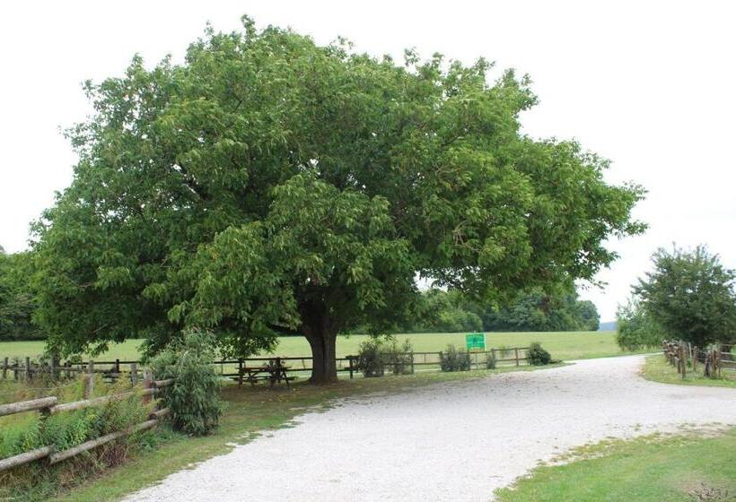 ペンション Ferme Des Champs