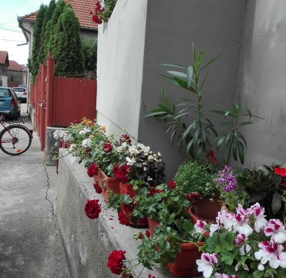 펜션 Kalotaszeg Vendégház