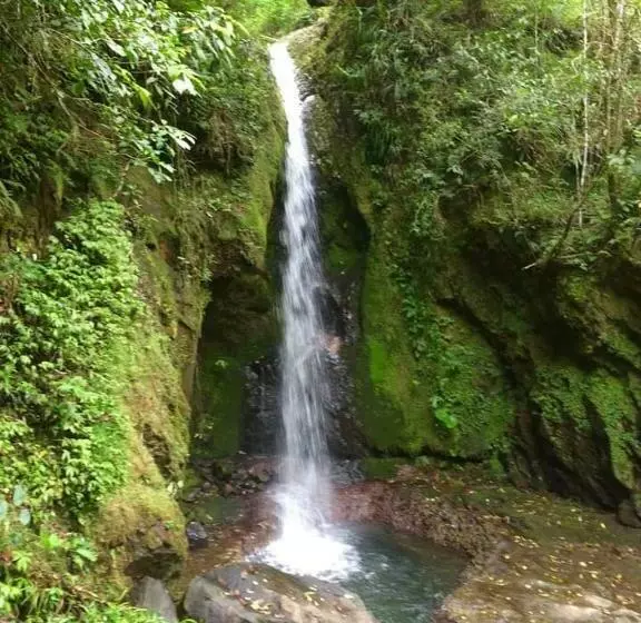 ペンション Oyo Ecocheap Lodge & Flores Tour Agency